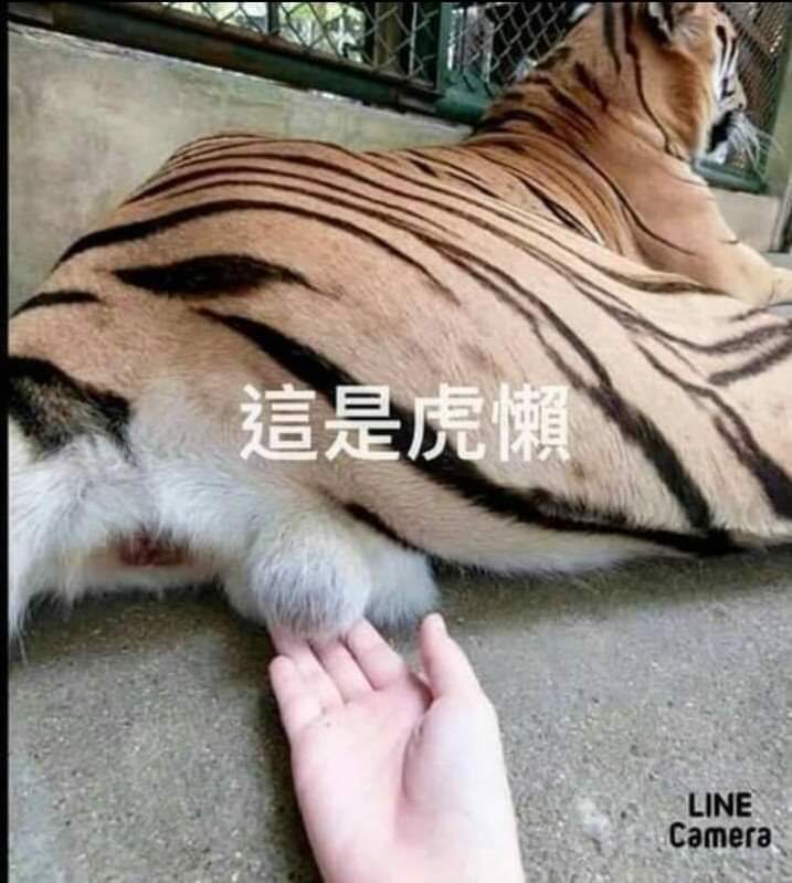 會員(3617820)