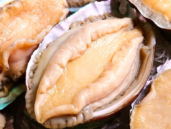 吃遍鮑魚(6548931)