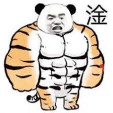 今晚打老虎(9784653)
