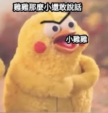 台中燉小雞(8970316)