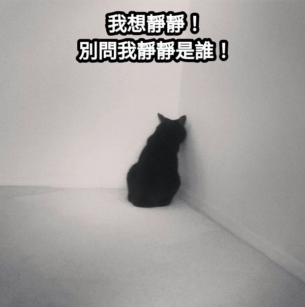 只想靜靜(4563209)
