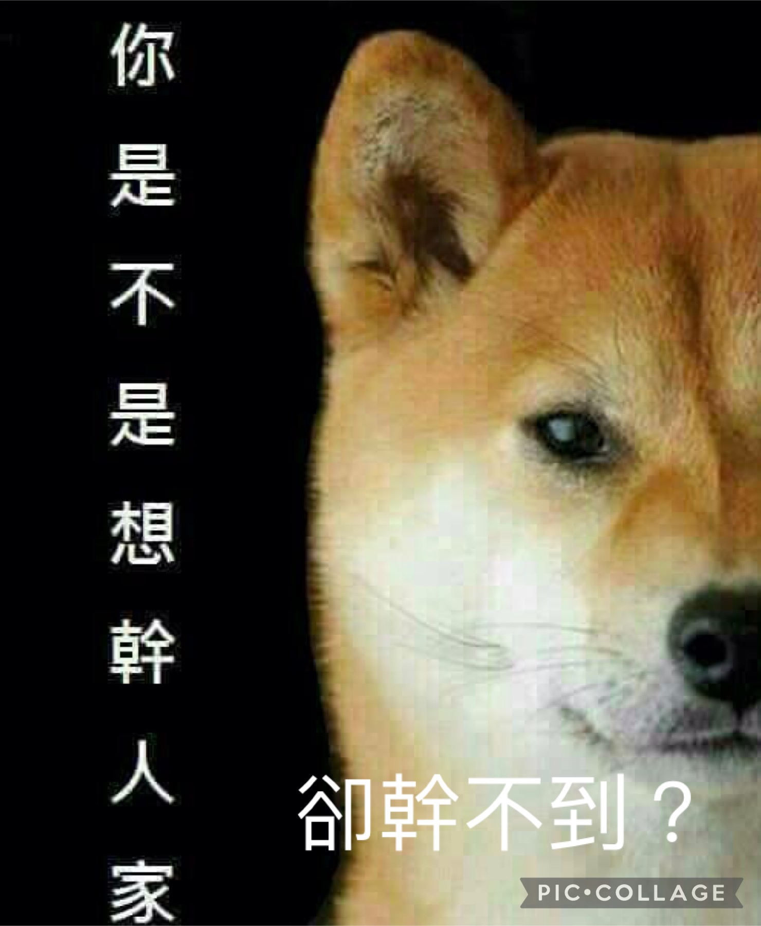 會員(8475639)