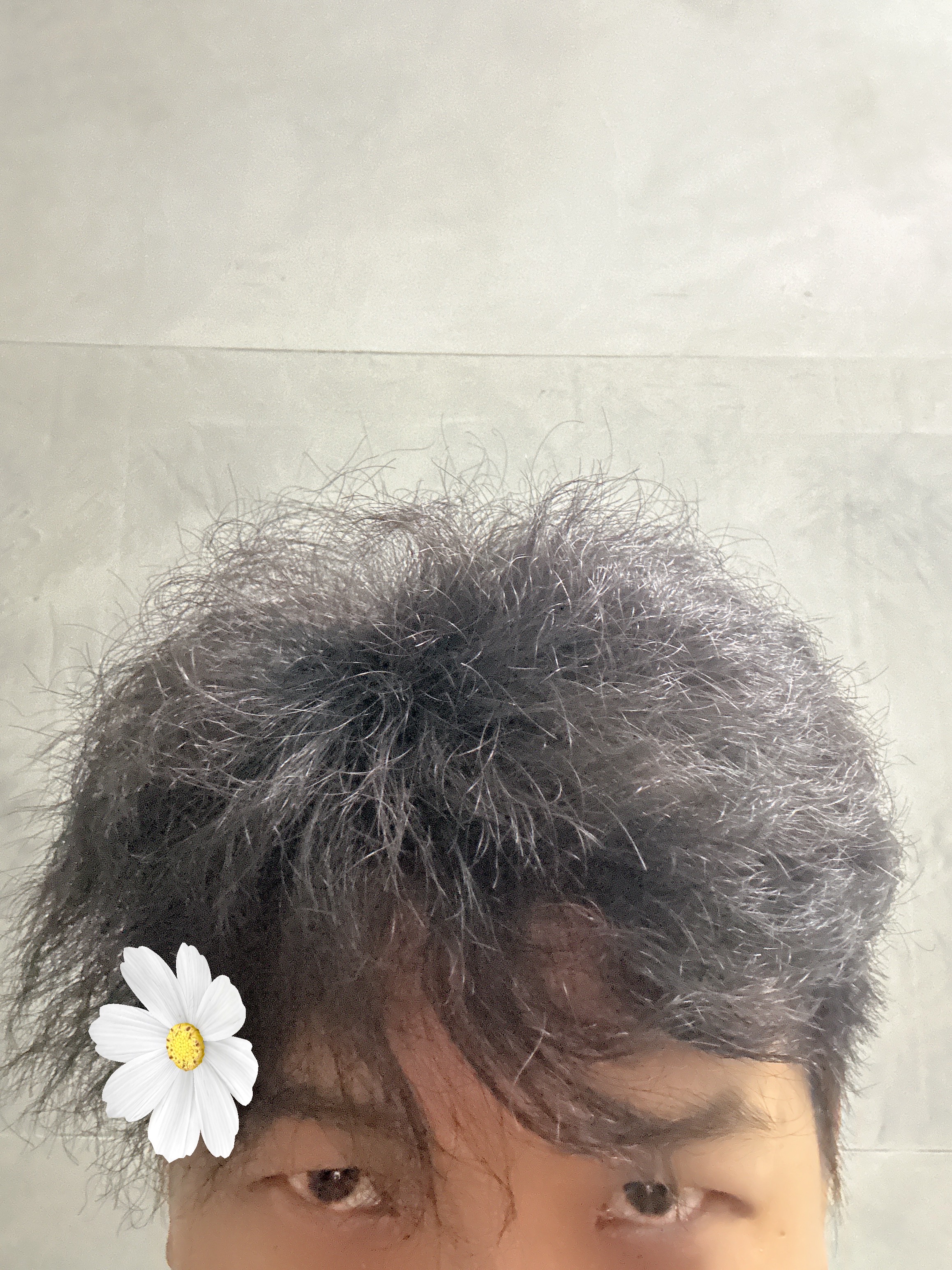 潘朵拉黑盒子(7491850)