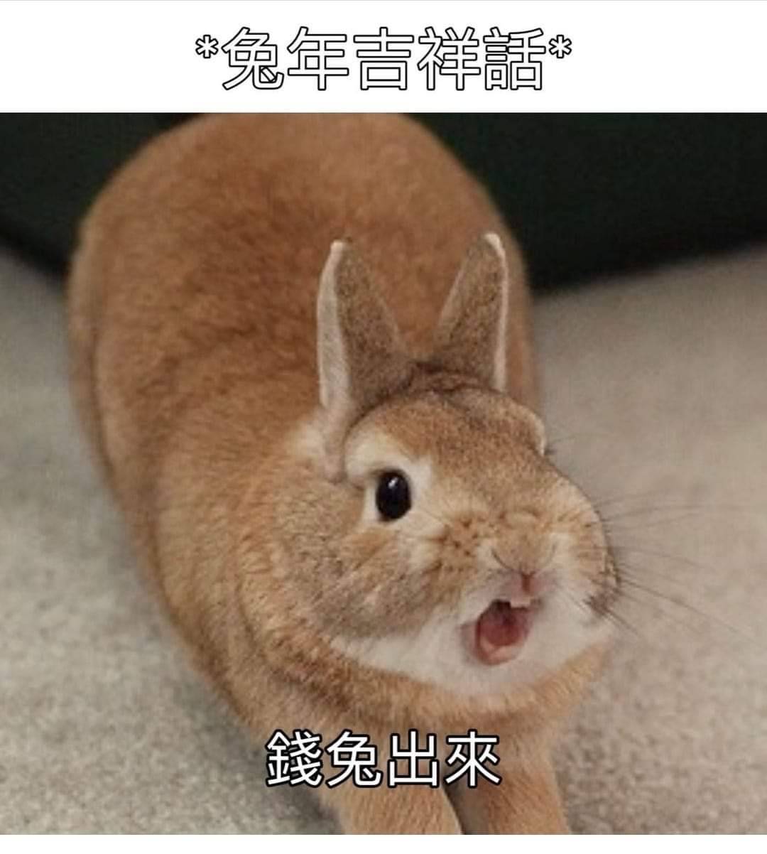 美食評論家(8503724)
