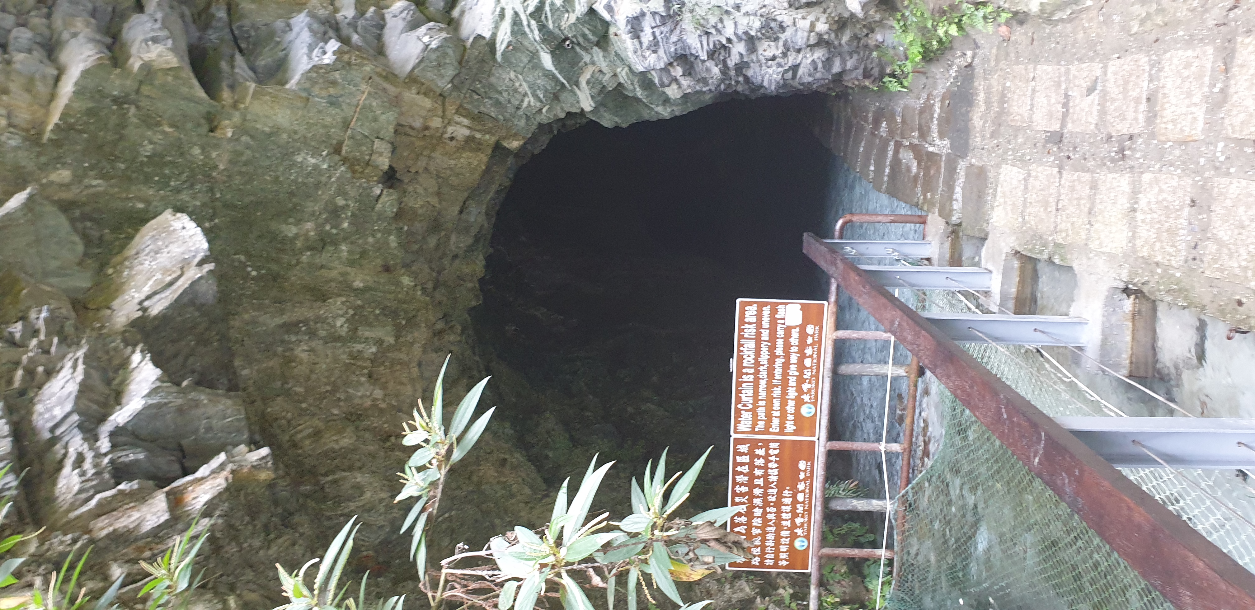 小木偶(2340791)