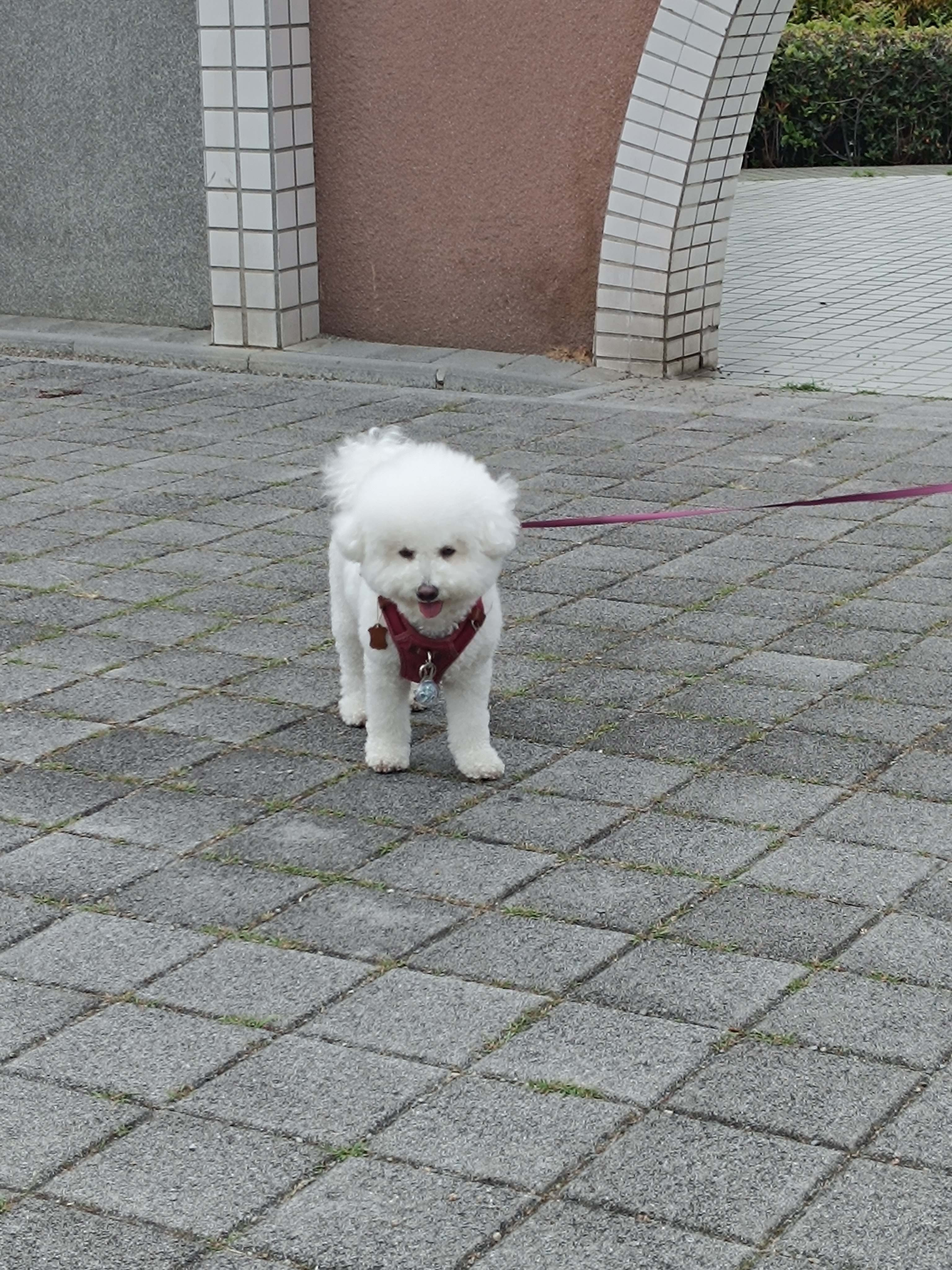 會員(3065297)