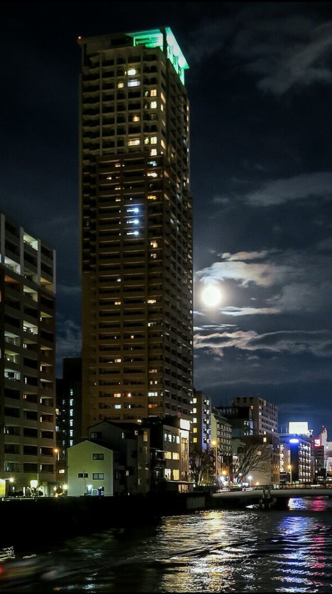會員(6492135)