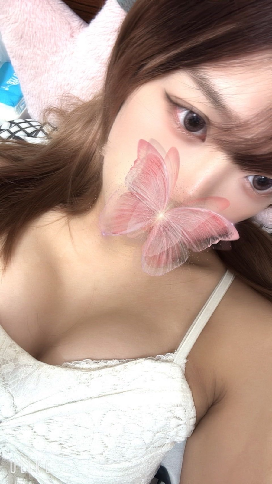 小布