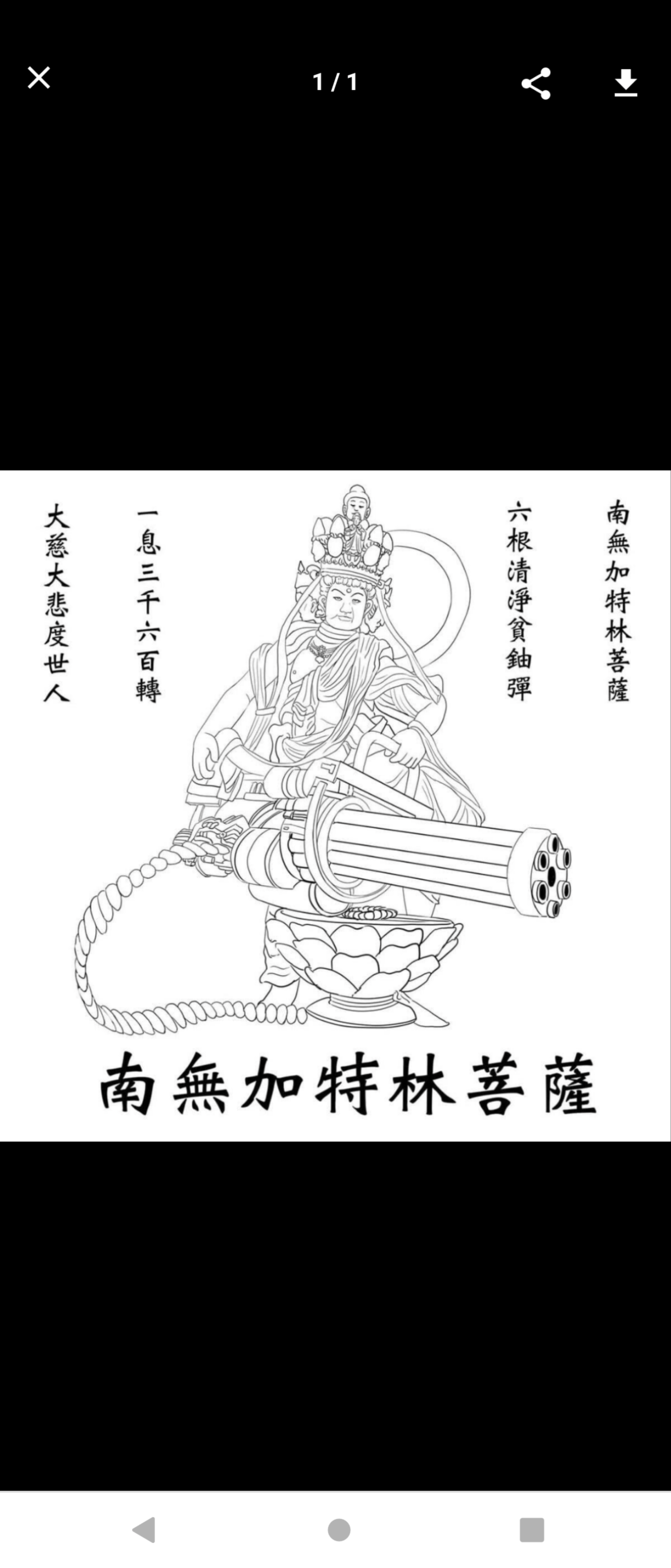 阿魯巴(3459608)