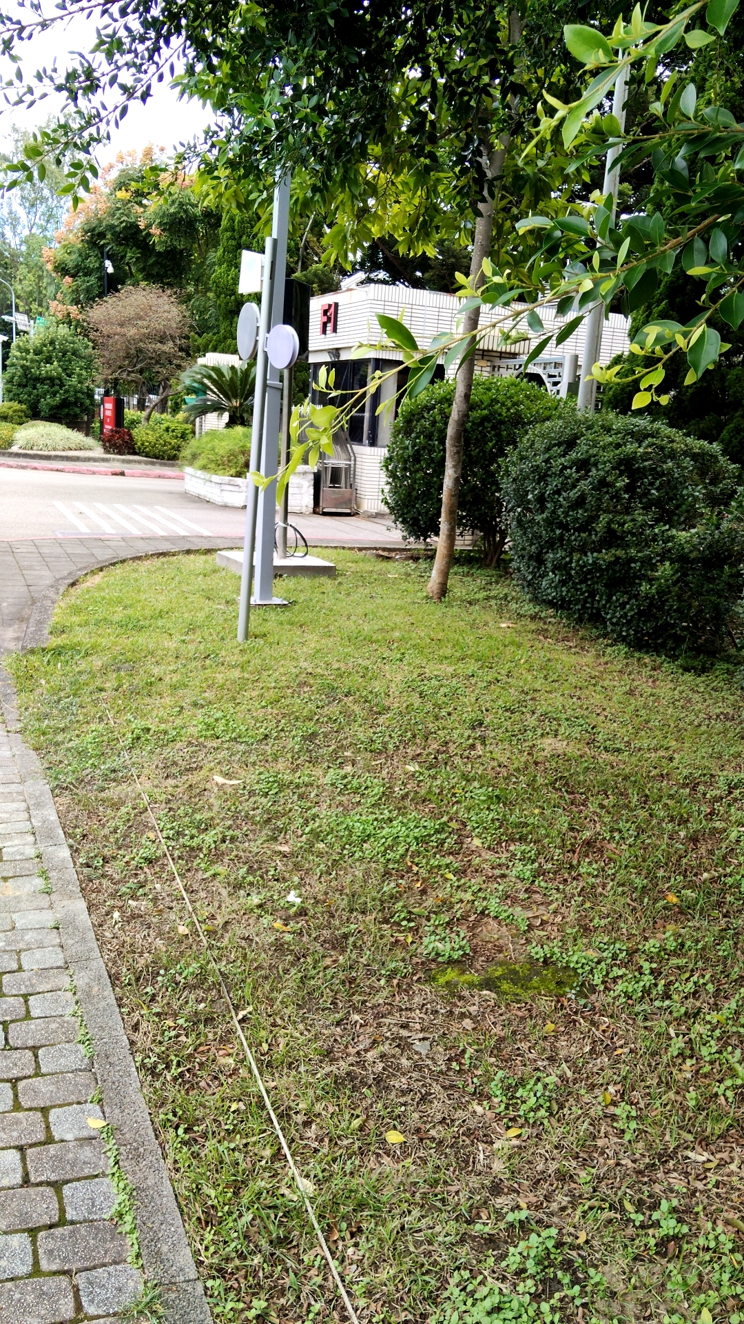 問我最準(8063241)