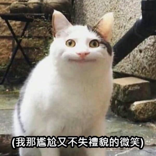 巧巧(4769150)