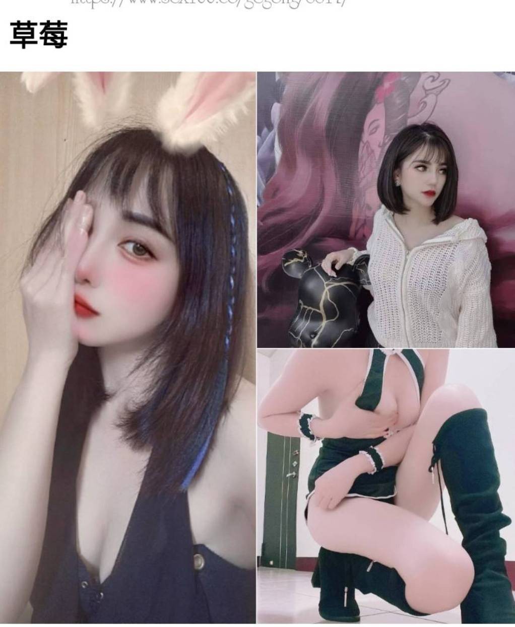 🍓台彎混血草莓