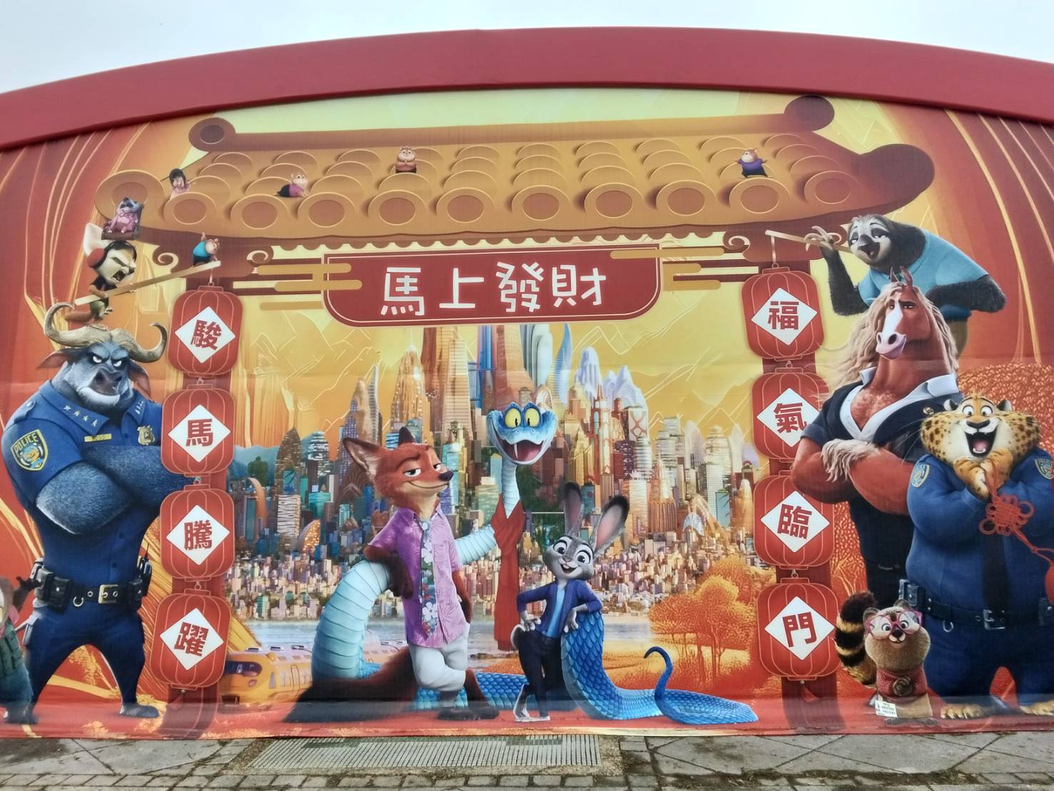 小羊(6207413)