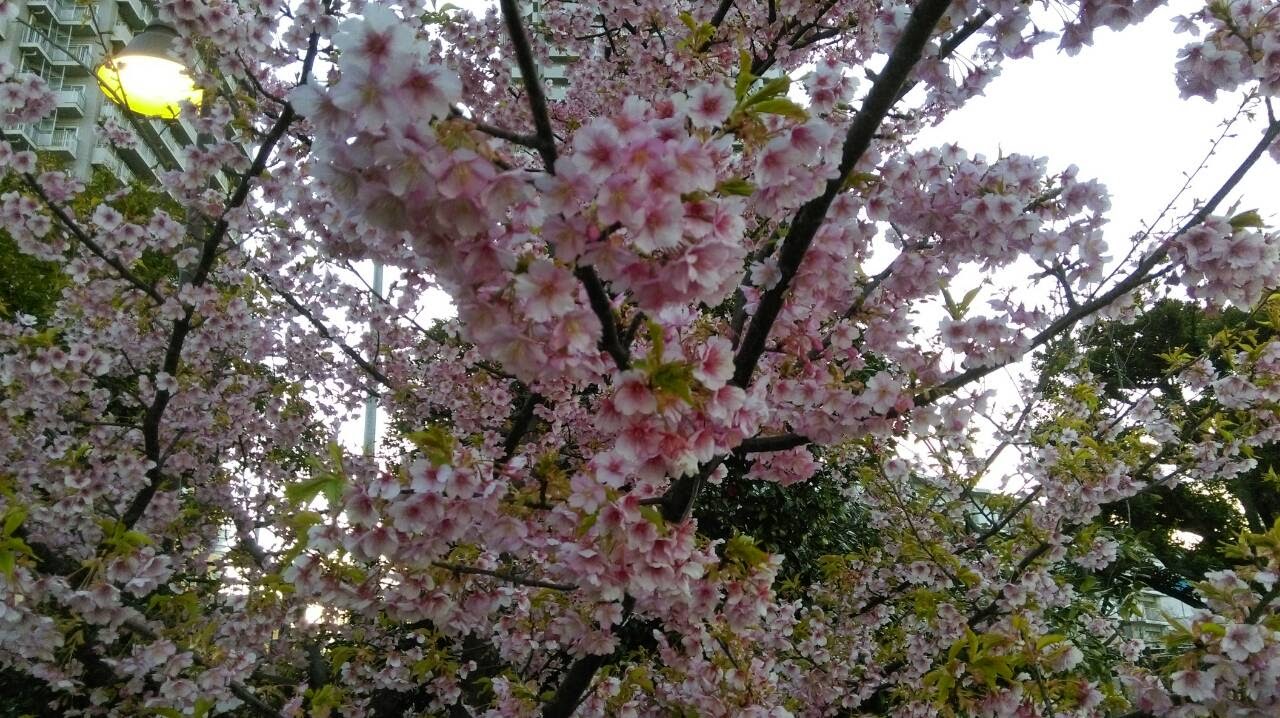 會員(9678013)