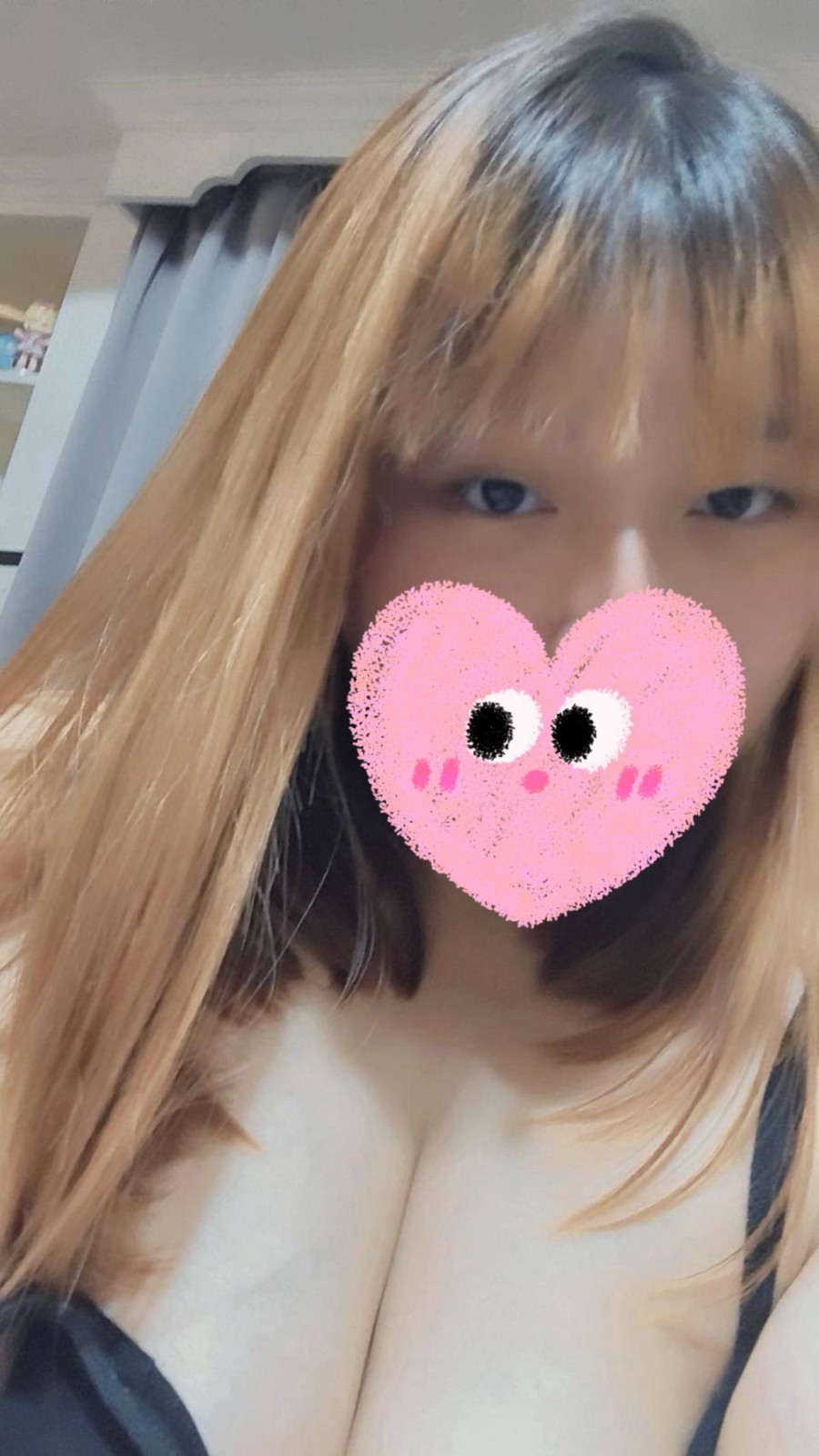 布布