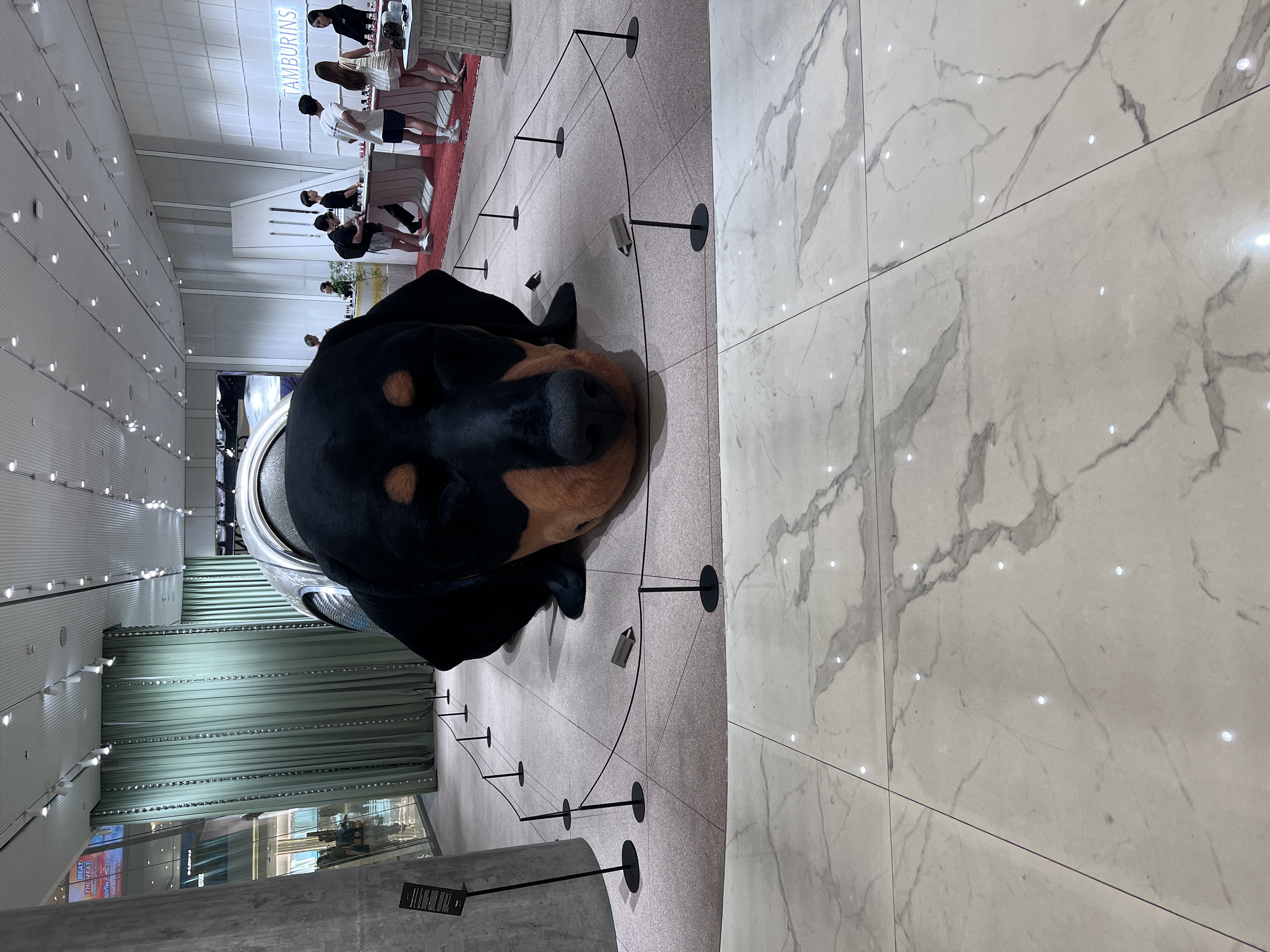 玩玩(7691530)