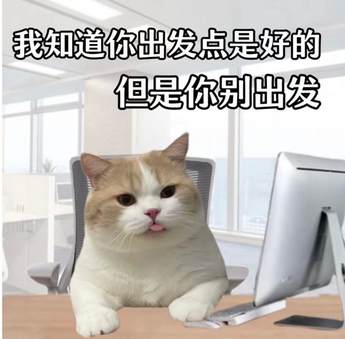 貓先生(3016857)
