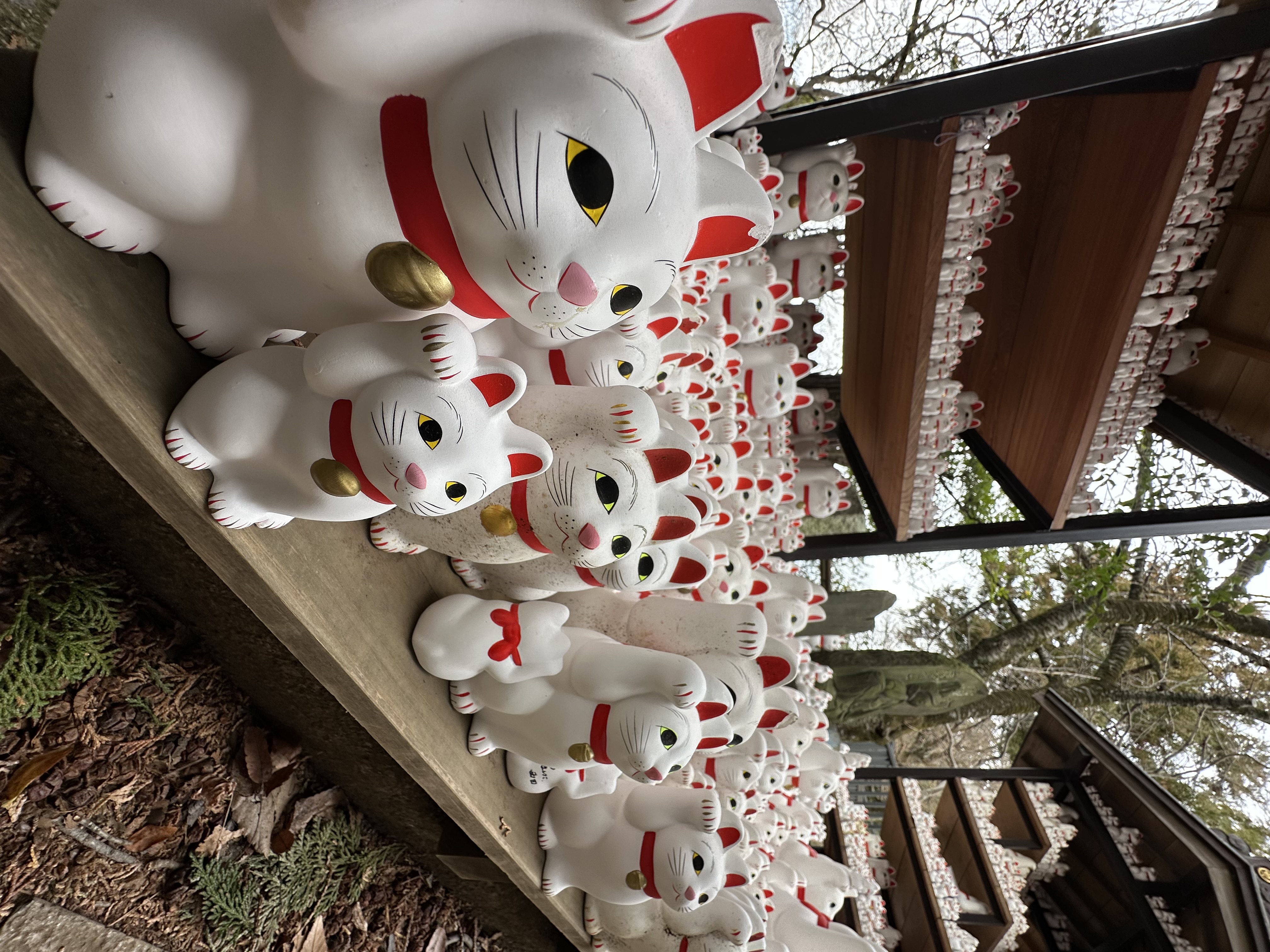 彥(7253490)