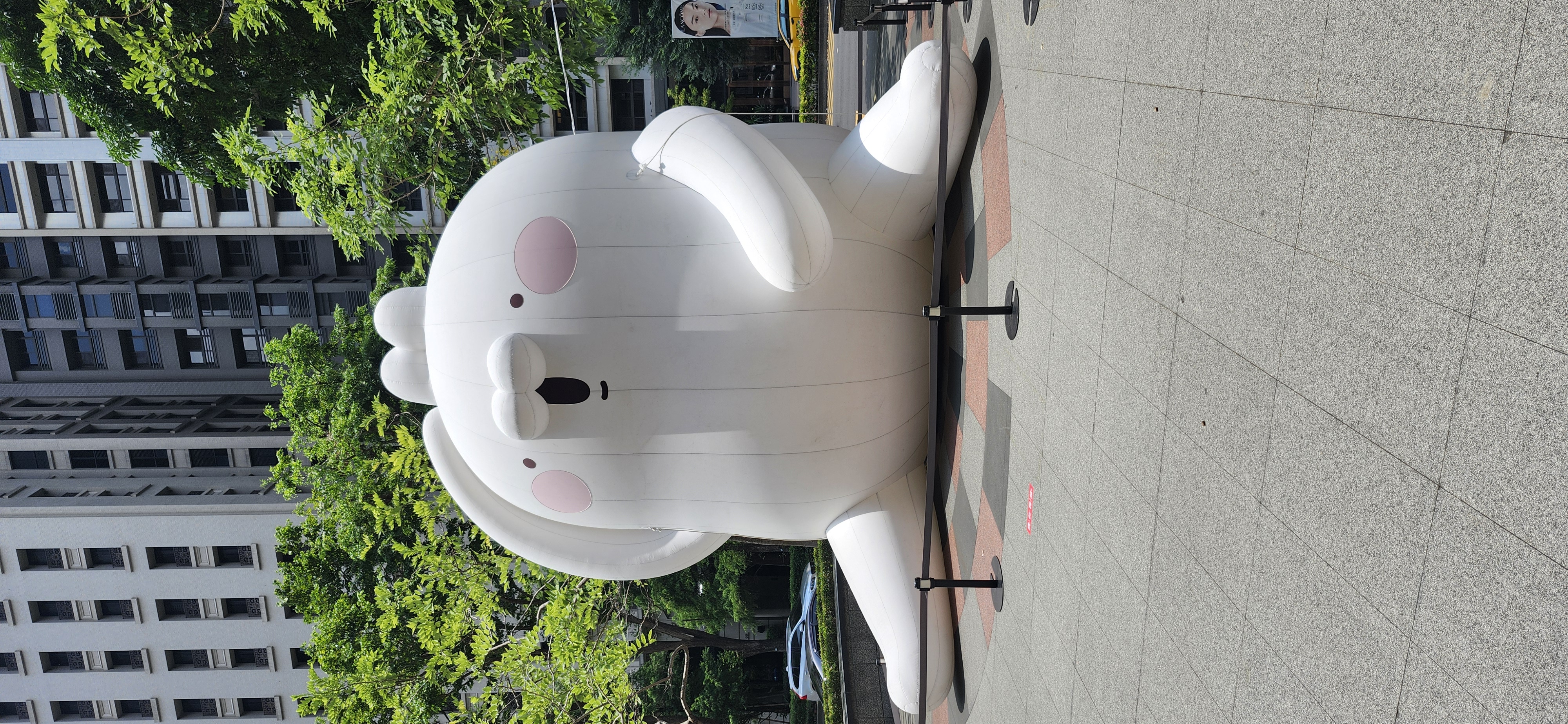 阿修羅(9817320)