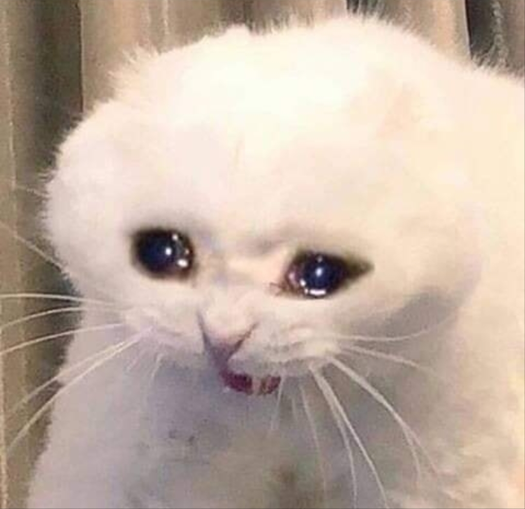 風林火山(5173049)