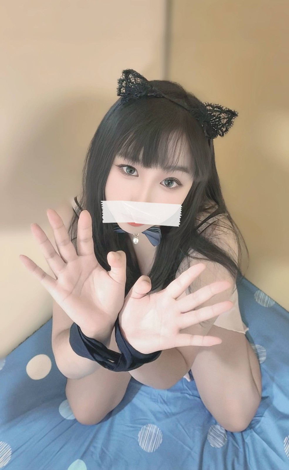 屬性偏m的小貓