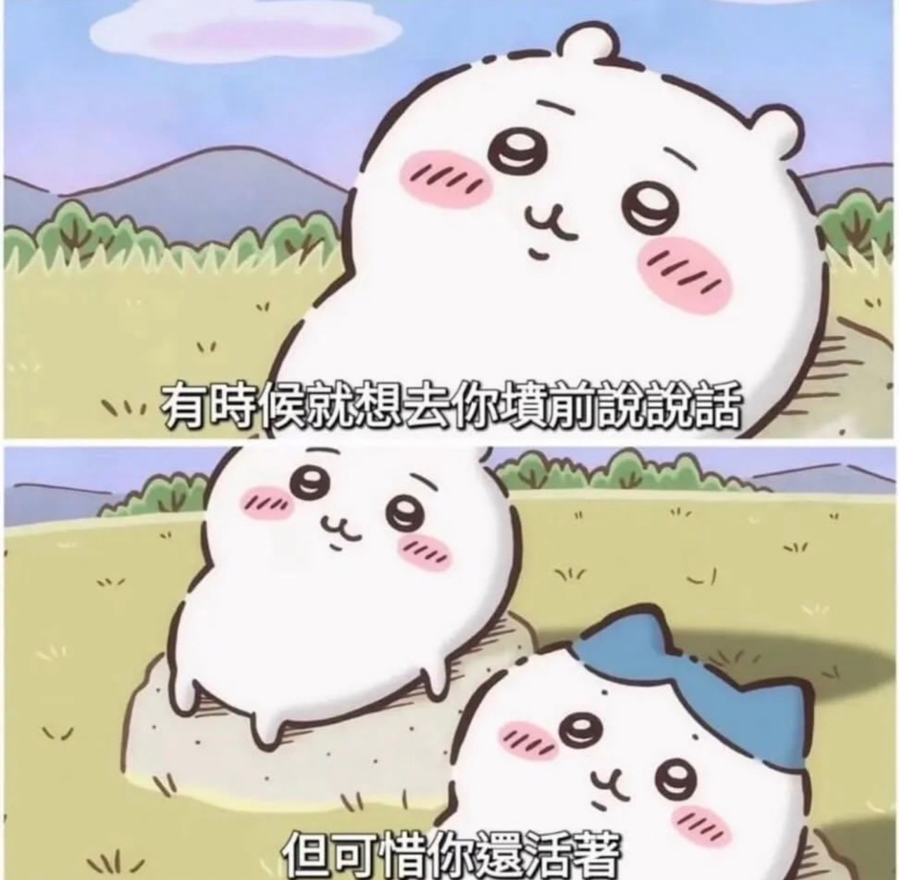 波波(4705613)