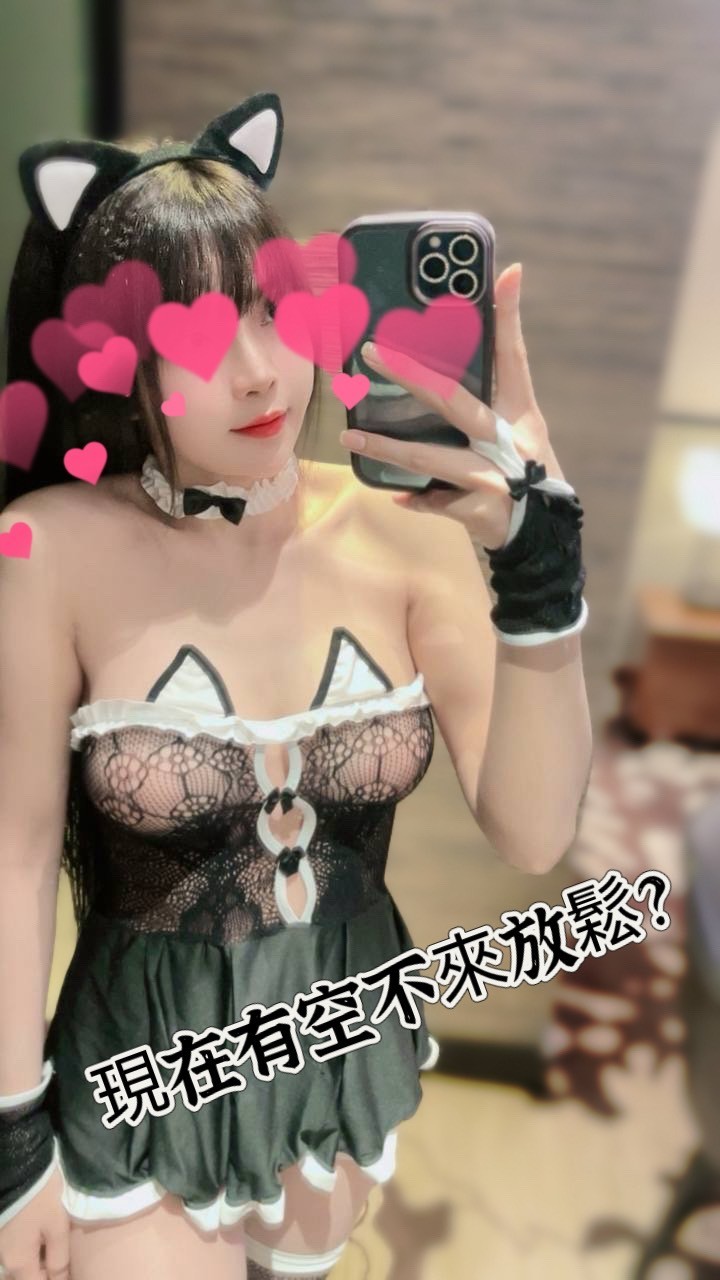 貓貓
