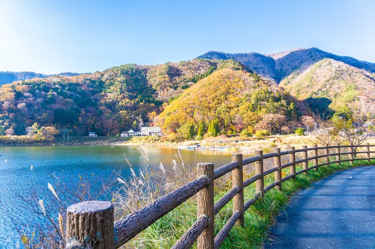 會員(9165027)