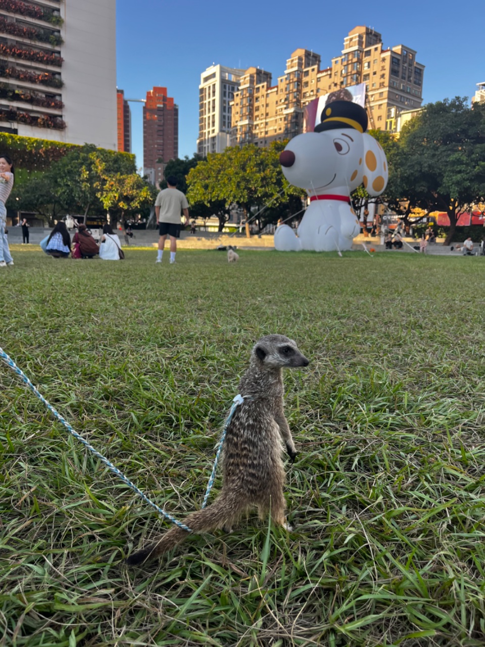 今天不回家(4178205)