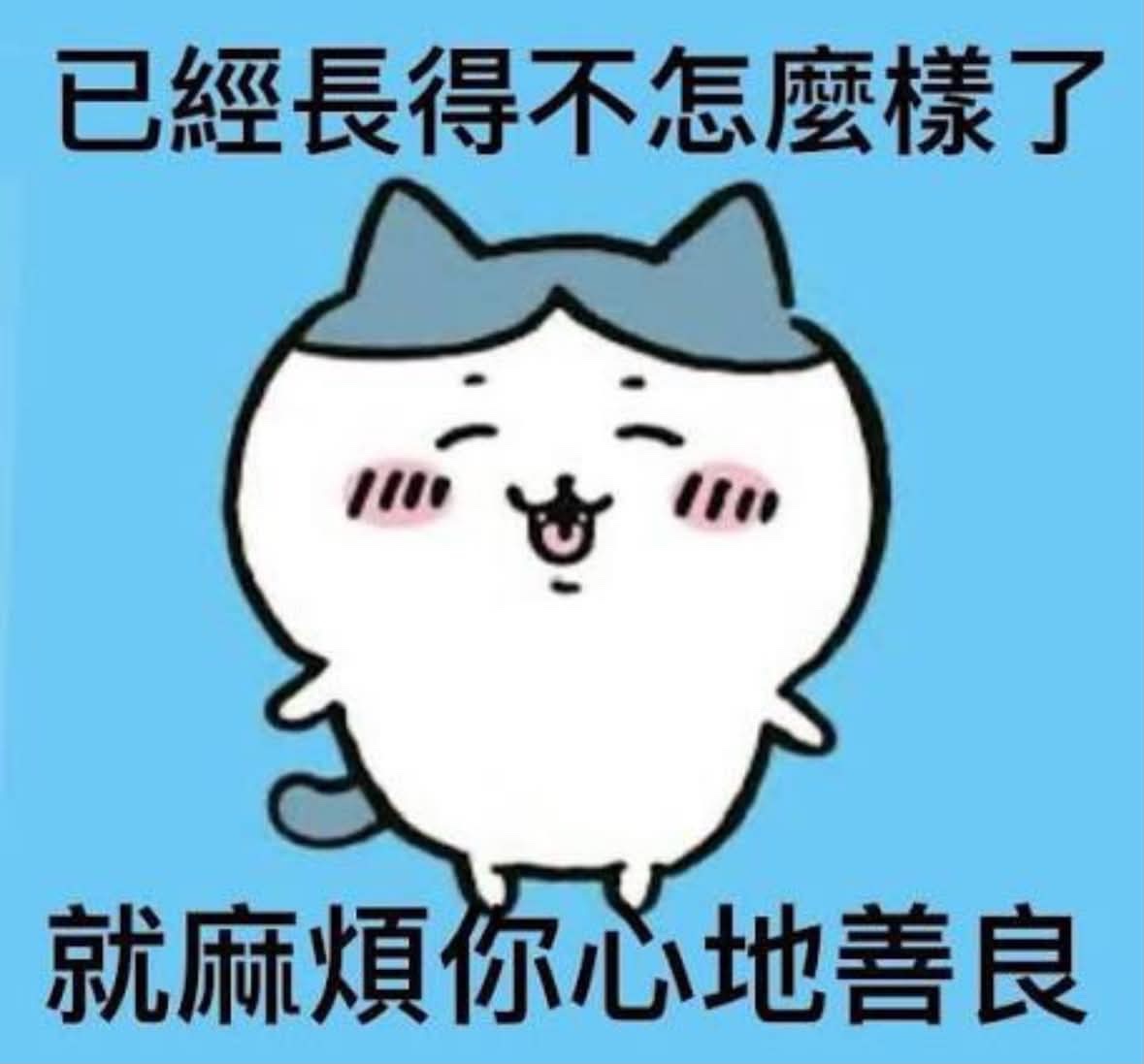 天天(9640528)