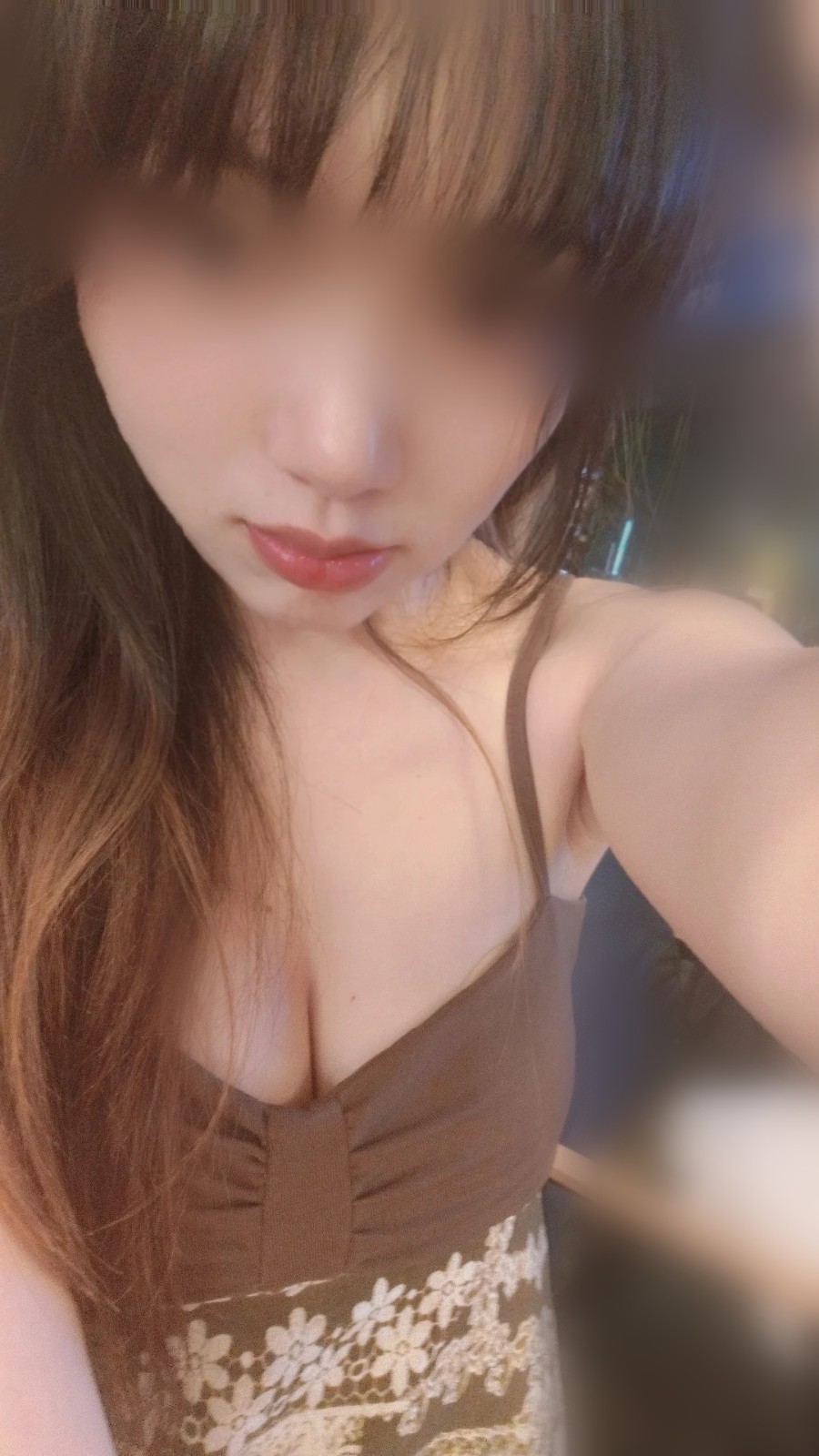 冬青